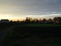 Am Buchwald im Oktober